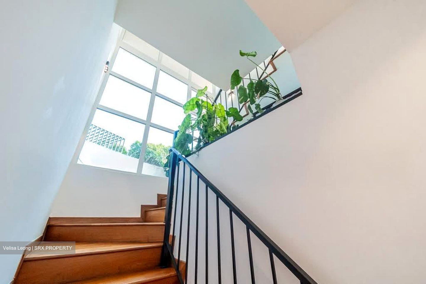 The Geranium (D15), Condominium #600999941